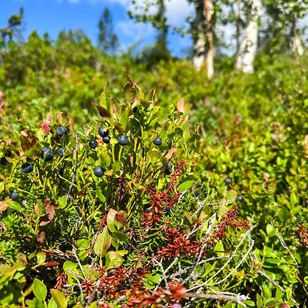 Modern Family At Norefjell - Views And Hiking *